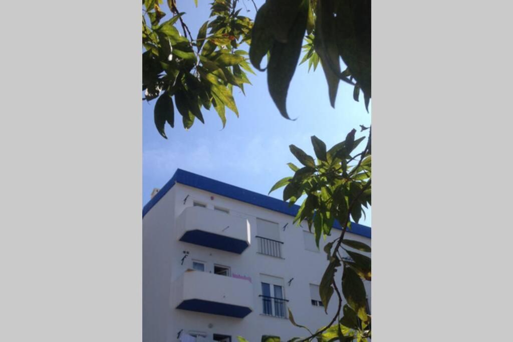 Casa Bela Vista Lagos Center Apartment ภายนอก รูปภาพ
